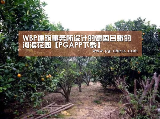WBP建筑事务所设计的德国吕嫩的河滨花园【PGAPP下载】(图3) PG麻将娱乐