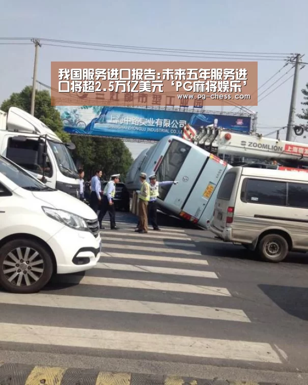 我国服务进口报告:未来五年服务进口将超2.5万亿美元‘PG麻将娱乐’(图1) PGAPP下载