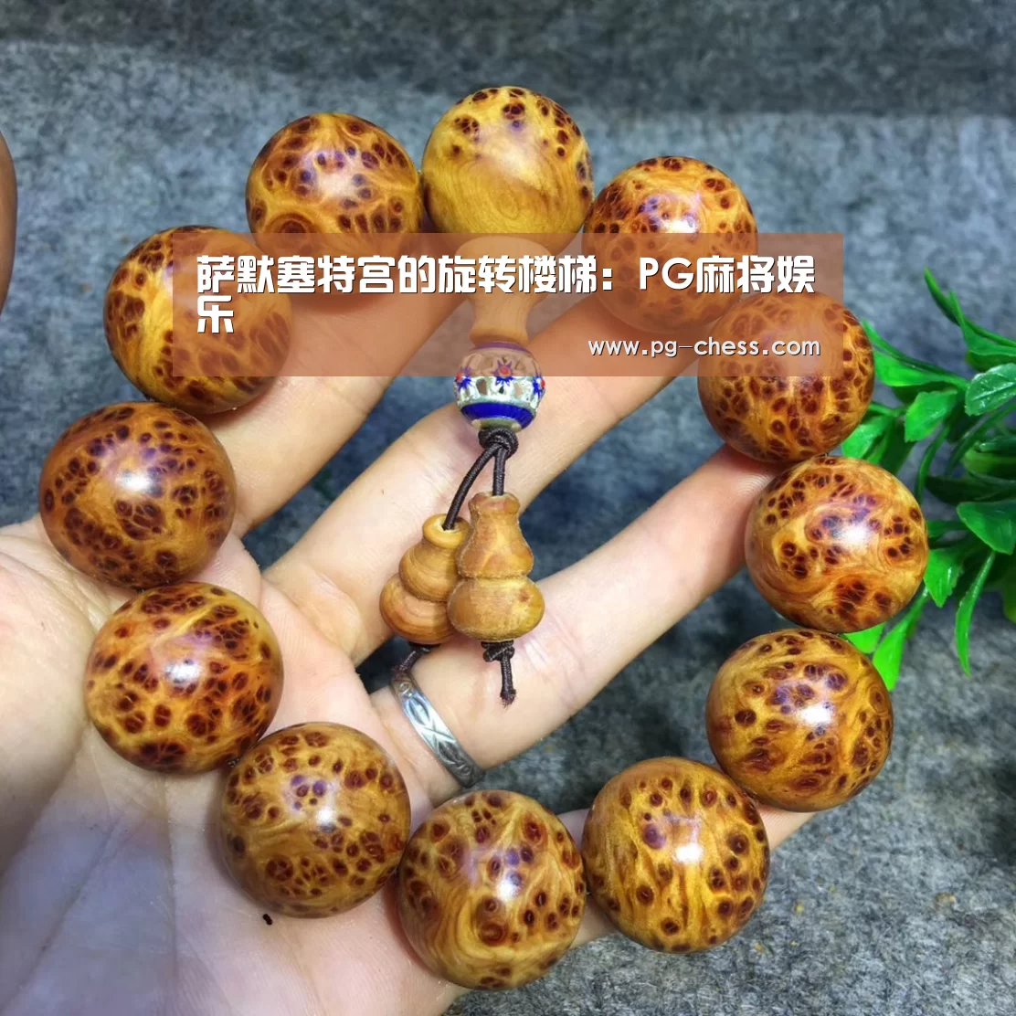 PG电子游戏