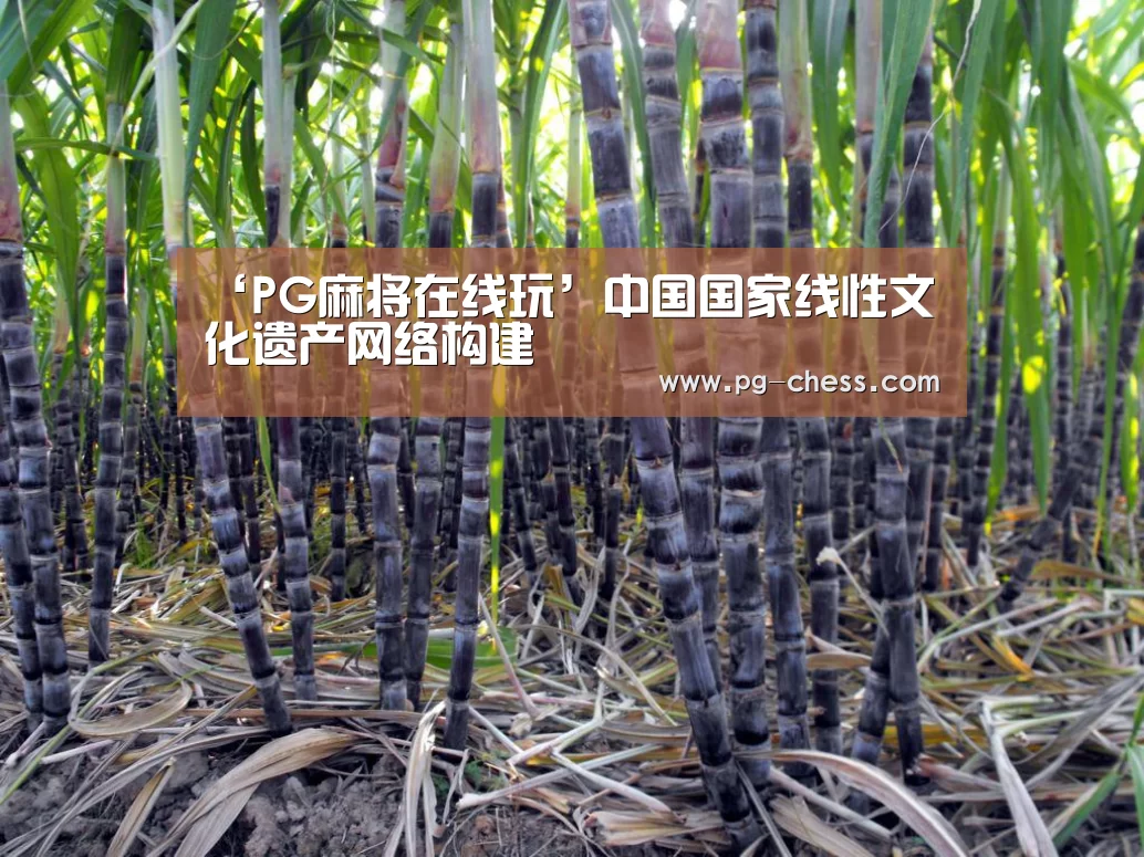 ‘PG麻将在线玩’中国国家线性文化遗产网络构建(图1) PG麻将娱乐