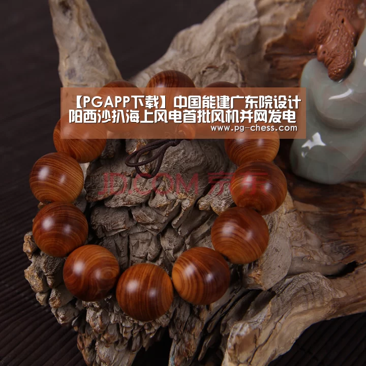 【PGAPP下载】中国能建广东院设计阳西沙扒海上风电首批风机并网发电(图2) PGAPP下载