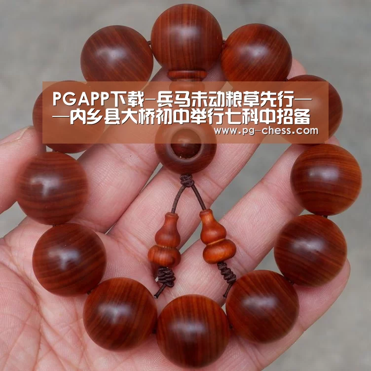 PGAPP下载-兵马未动粮草先行——内乡县大桥初中举行七科中招备考研讨会(图3) PGAPP下载